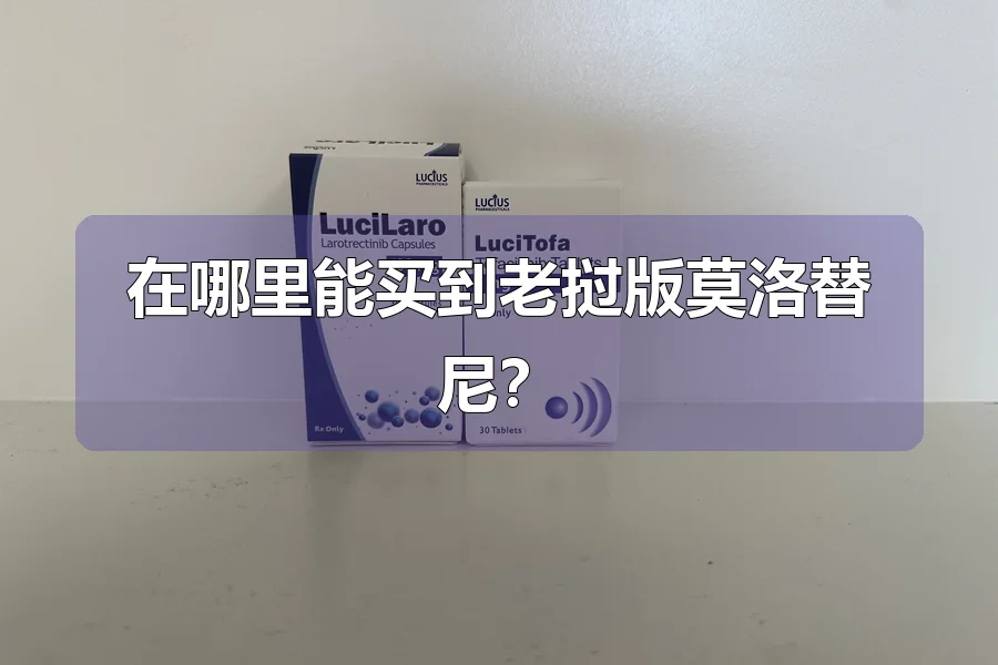 在哪里能买到老挝版莫洛替尼？